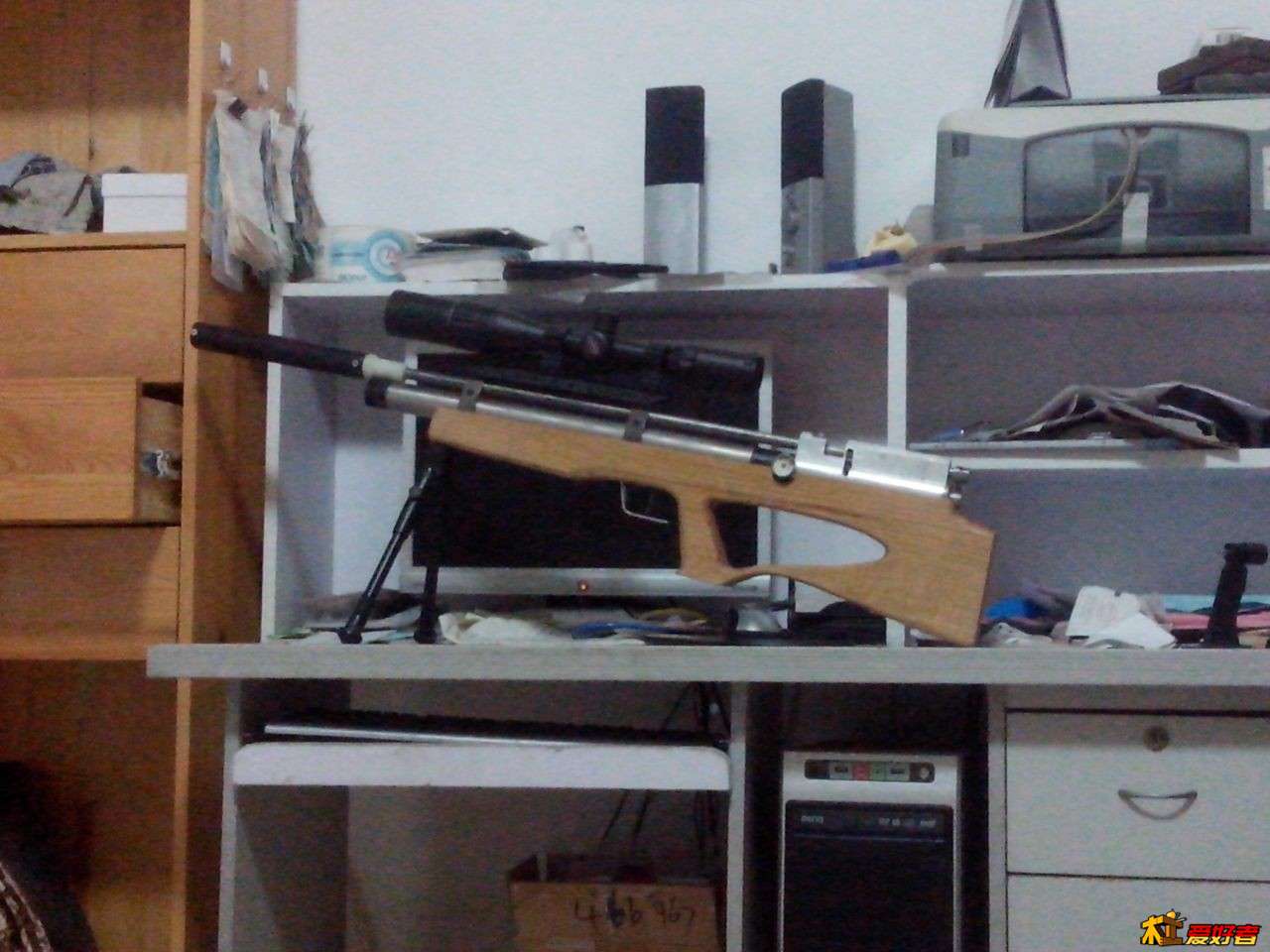 狗.jpg