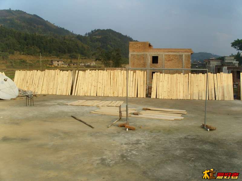 SNV10399_缩小大小.JPG