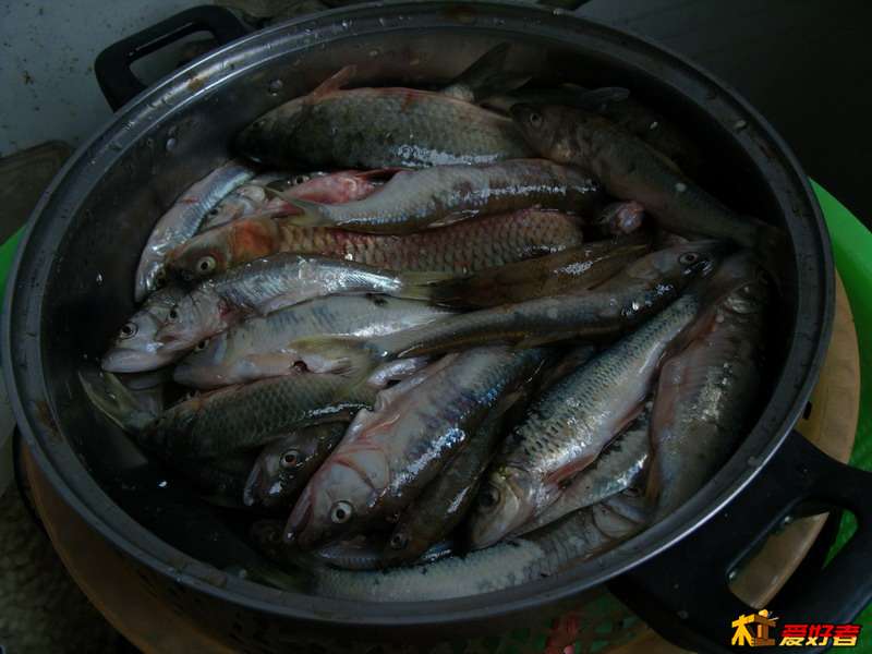 SNV10273_缩小大小.JPG