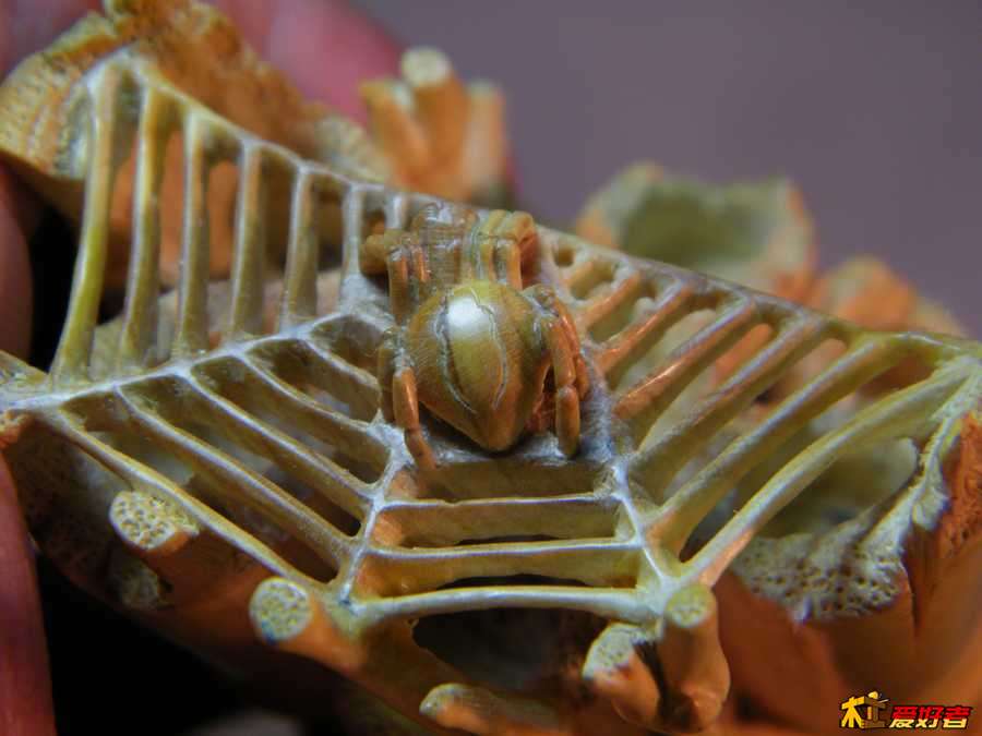 DSCF2080.jpg