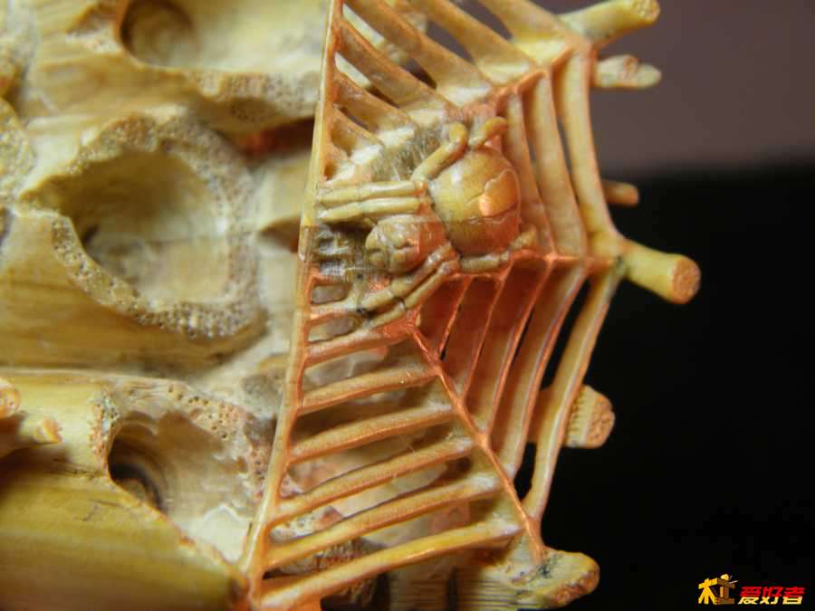 DSCF2072.jpg