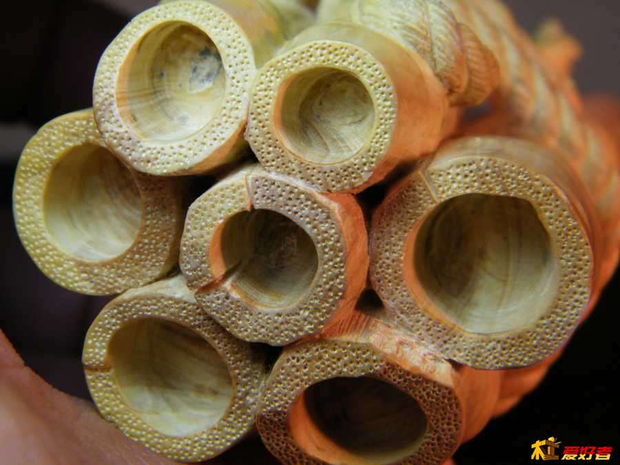 DSCF2075.jpg
