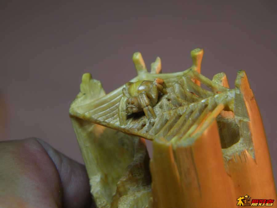 DSCF2078.jpg