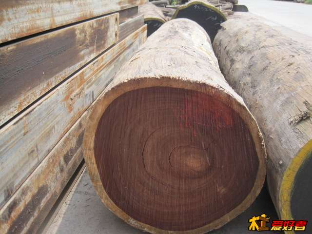 Picture 001.jpg