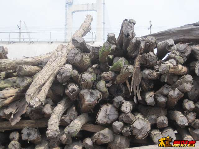 Picture 008.jpg