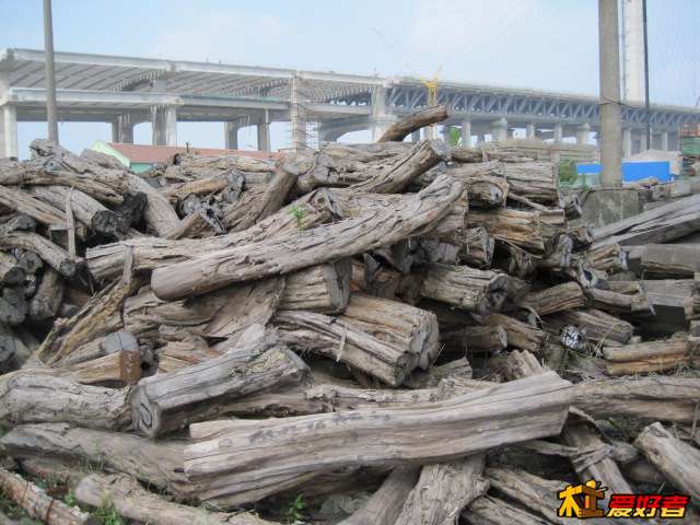 Picture 035.jpg