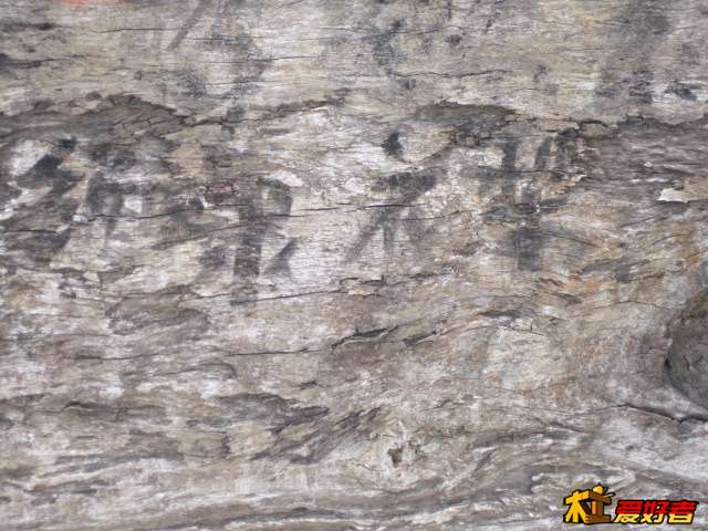Picture 049.jpg