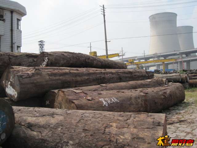 Picture 063.jpg