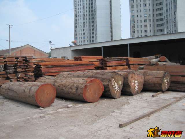 Picture 064.jpg