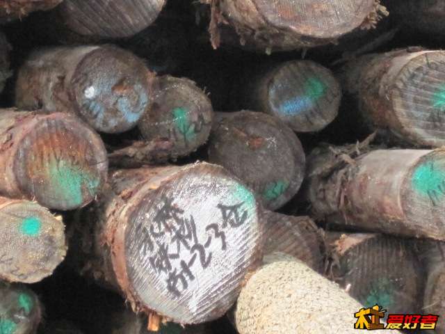 Picture 066.jpg