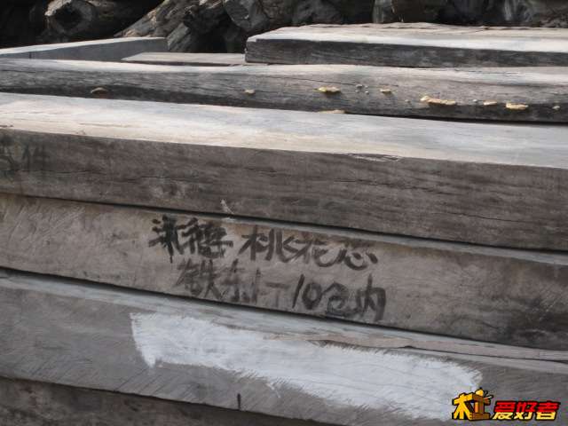 Picture 098.jpg
