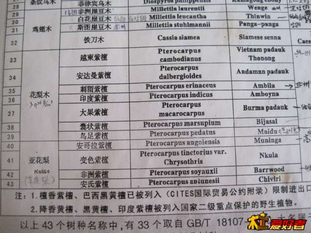 Picture 102.jpg