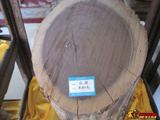 Picture 121.jpg