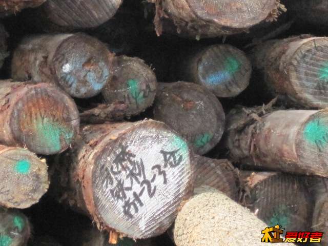 Picture 066.jpg
