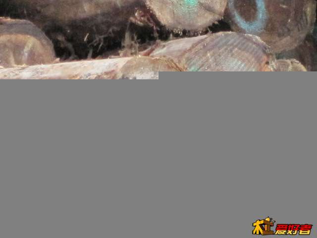 Picture 069.jpg