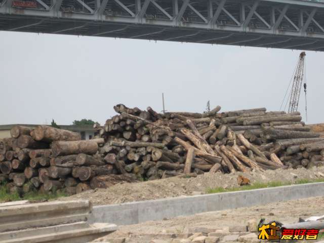 Picture 080.jpg