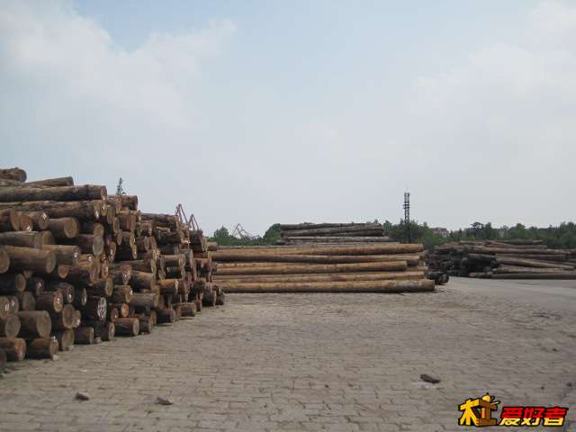 Picture 088.jpg