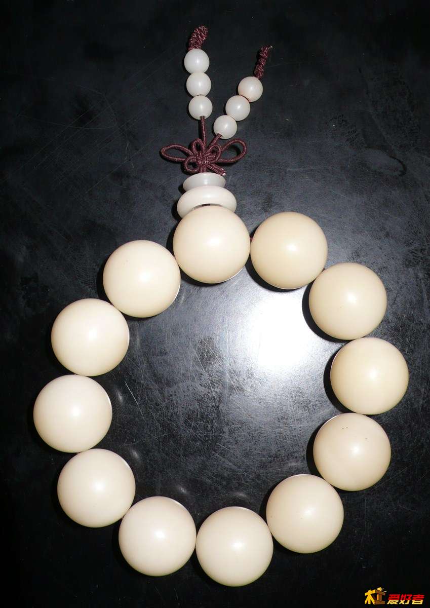 PhoXo6.jpg