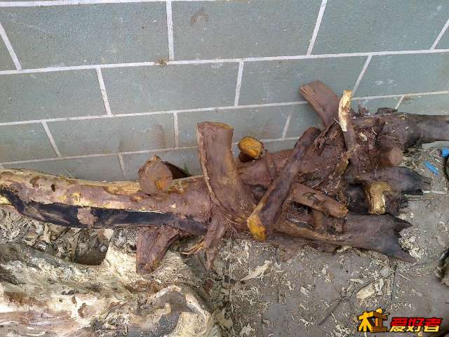 20130908323.jpg