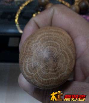 QQ图片20130926200157.jpg