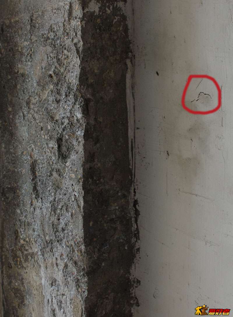 IMGP5861.jpg