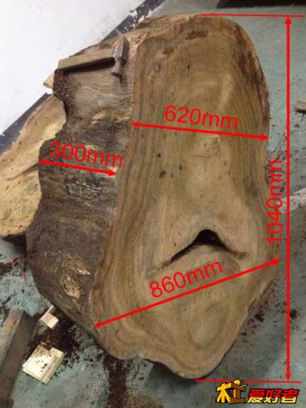 中心有夹皮，透孔。