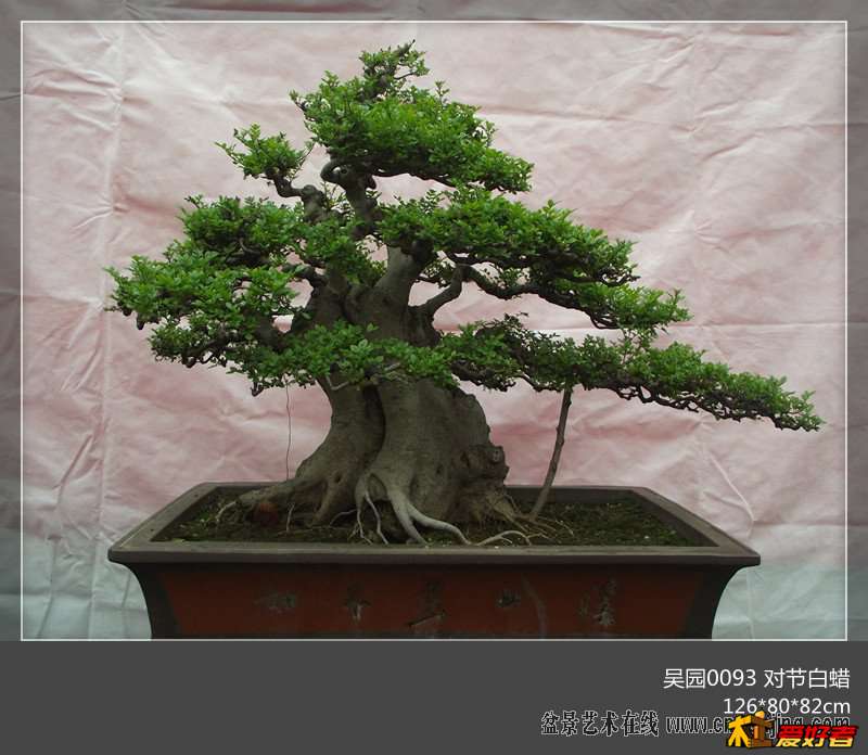 093535eiaw22gimohoue2i.jpg