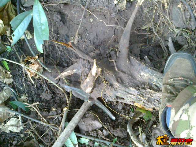 20131020453.jpg