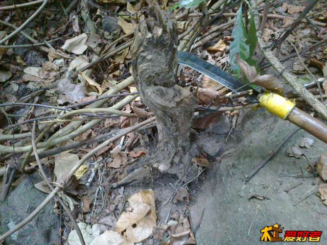 20131020454.jpg
