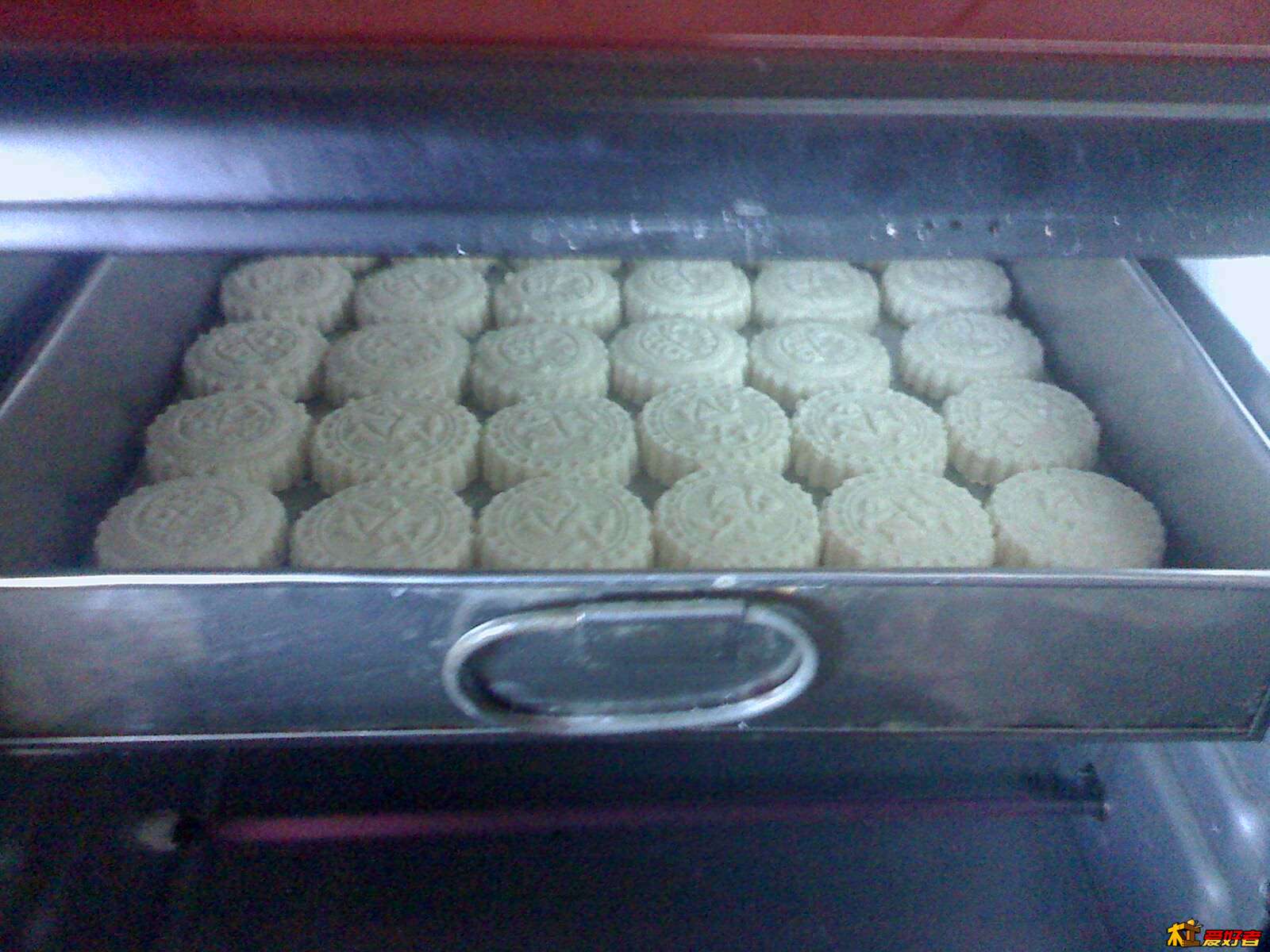 IMG0315174600.jpg