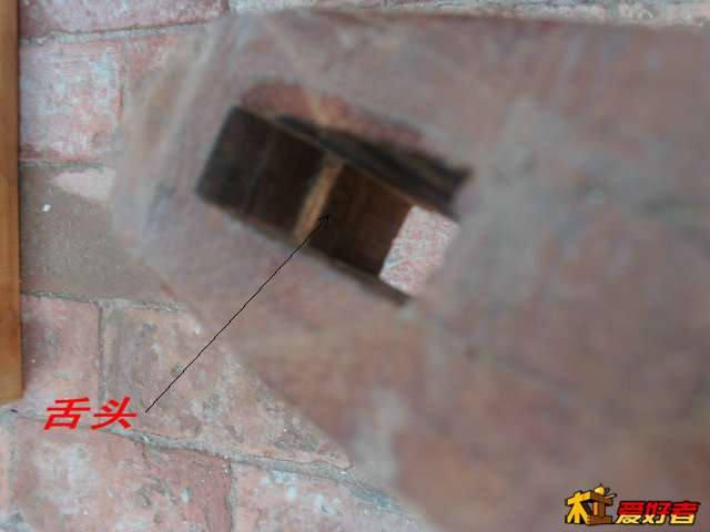 DSCI9355_副本.JPG