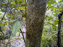 20120211049_副本.jpg