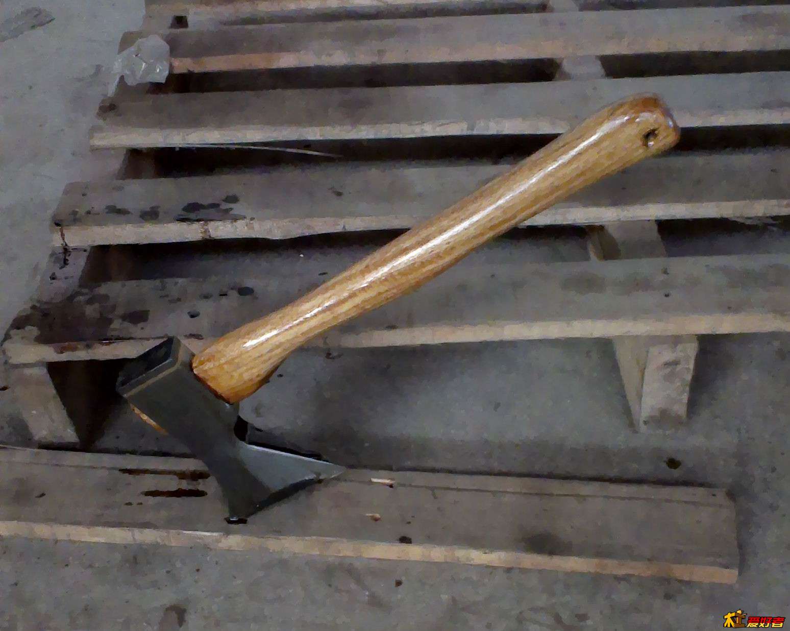 IMAG0455.jpg