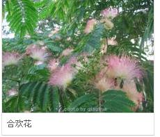 360截图20131118140229015.jpg