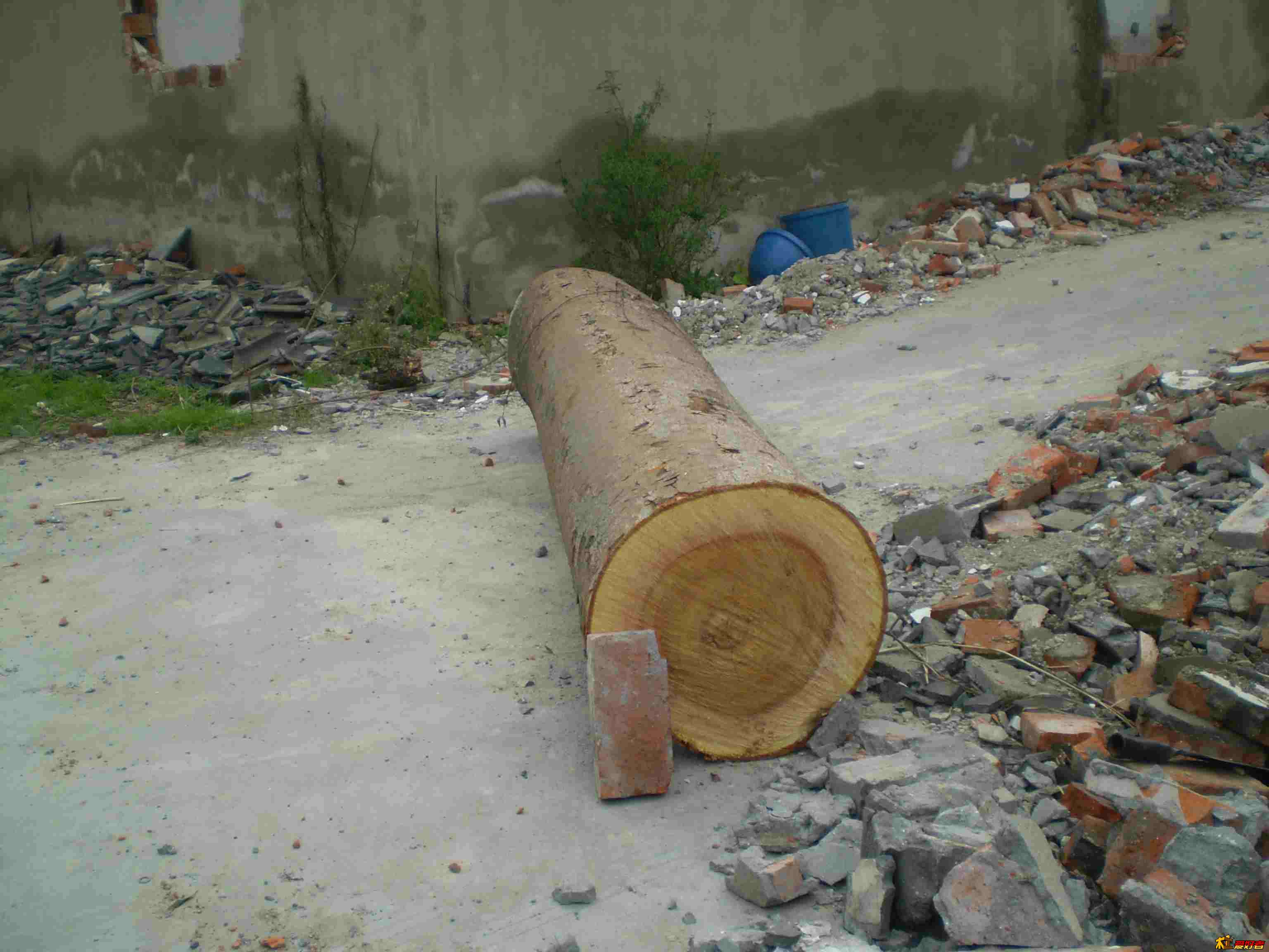 中间.jpg