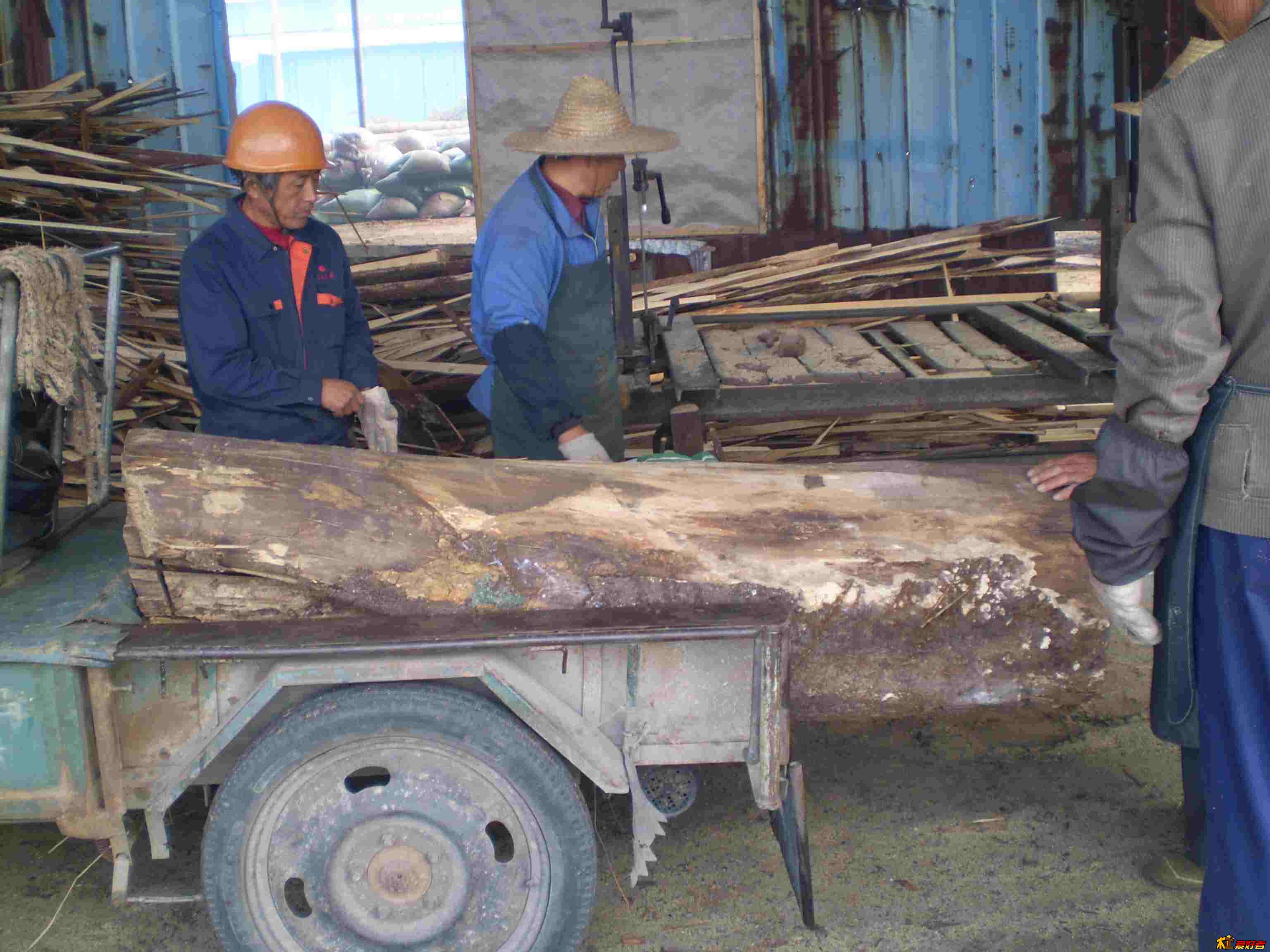 PB014405.jpg