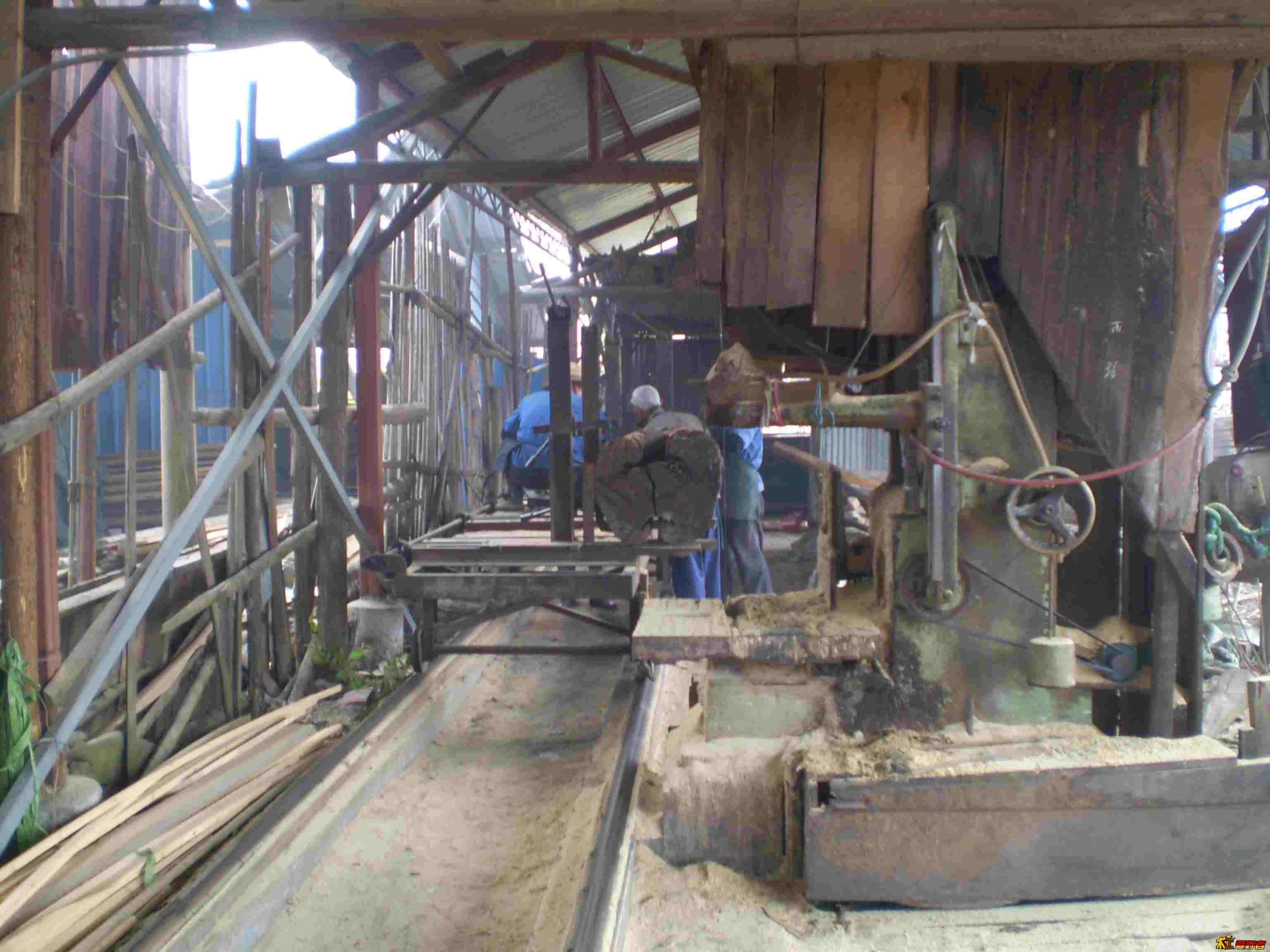 PB014407.jpg