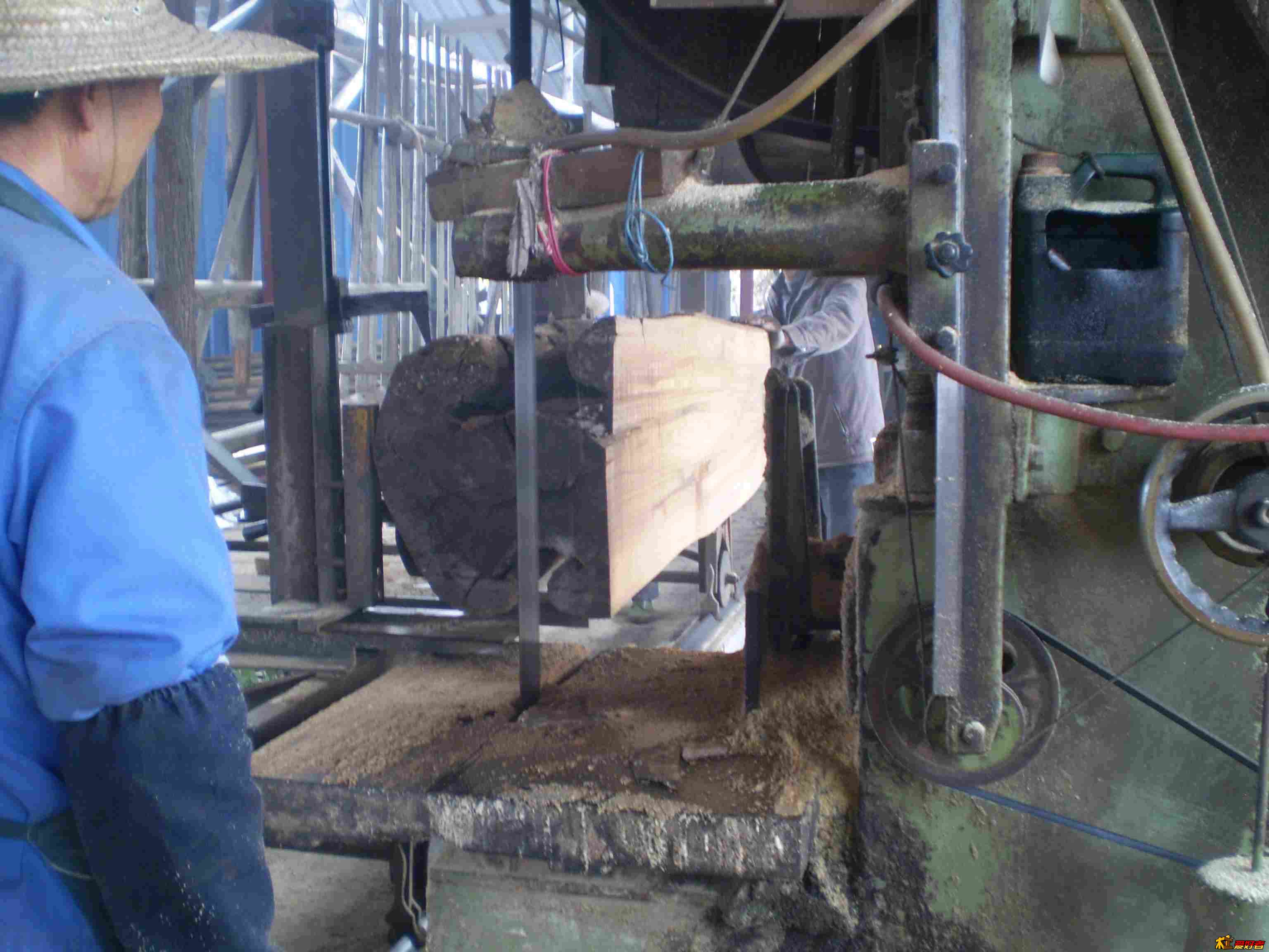 PB014409.jpg