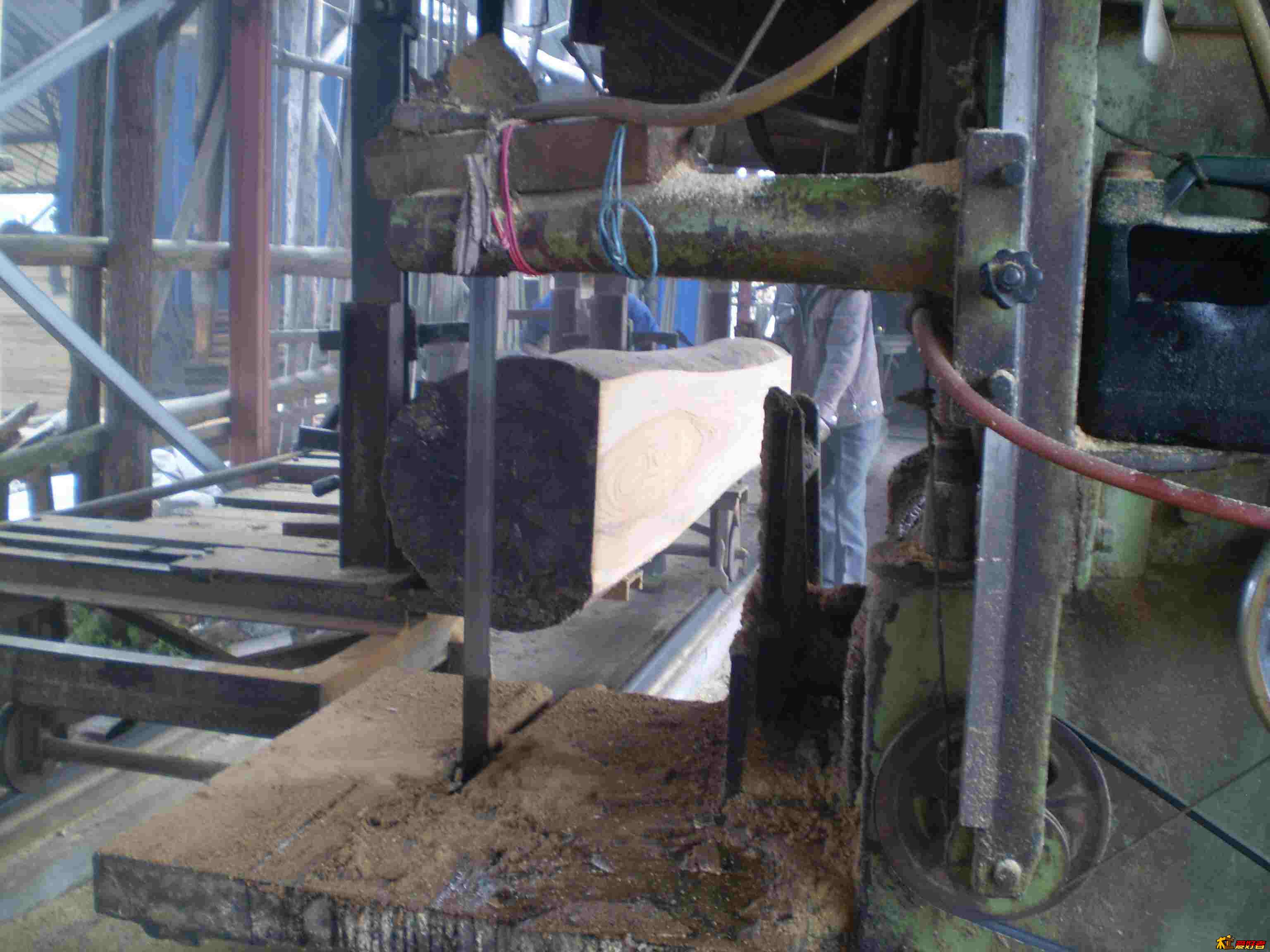 PB014412.jpg