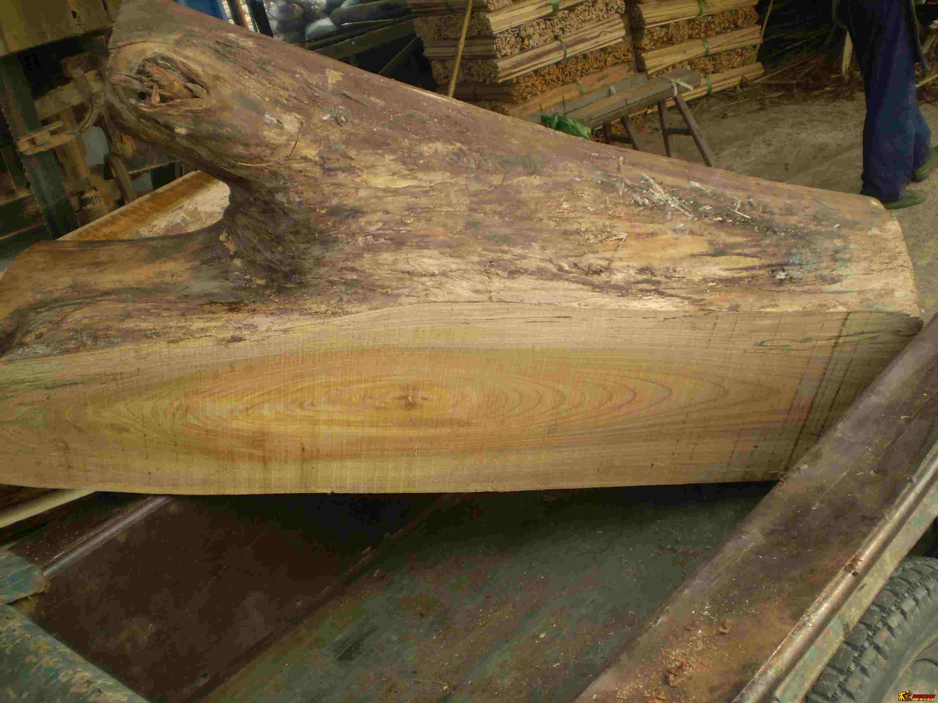 PB014418.jpg