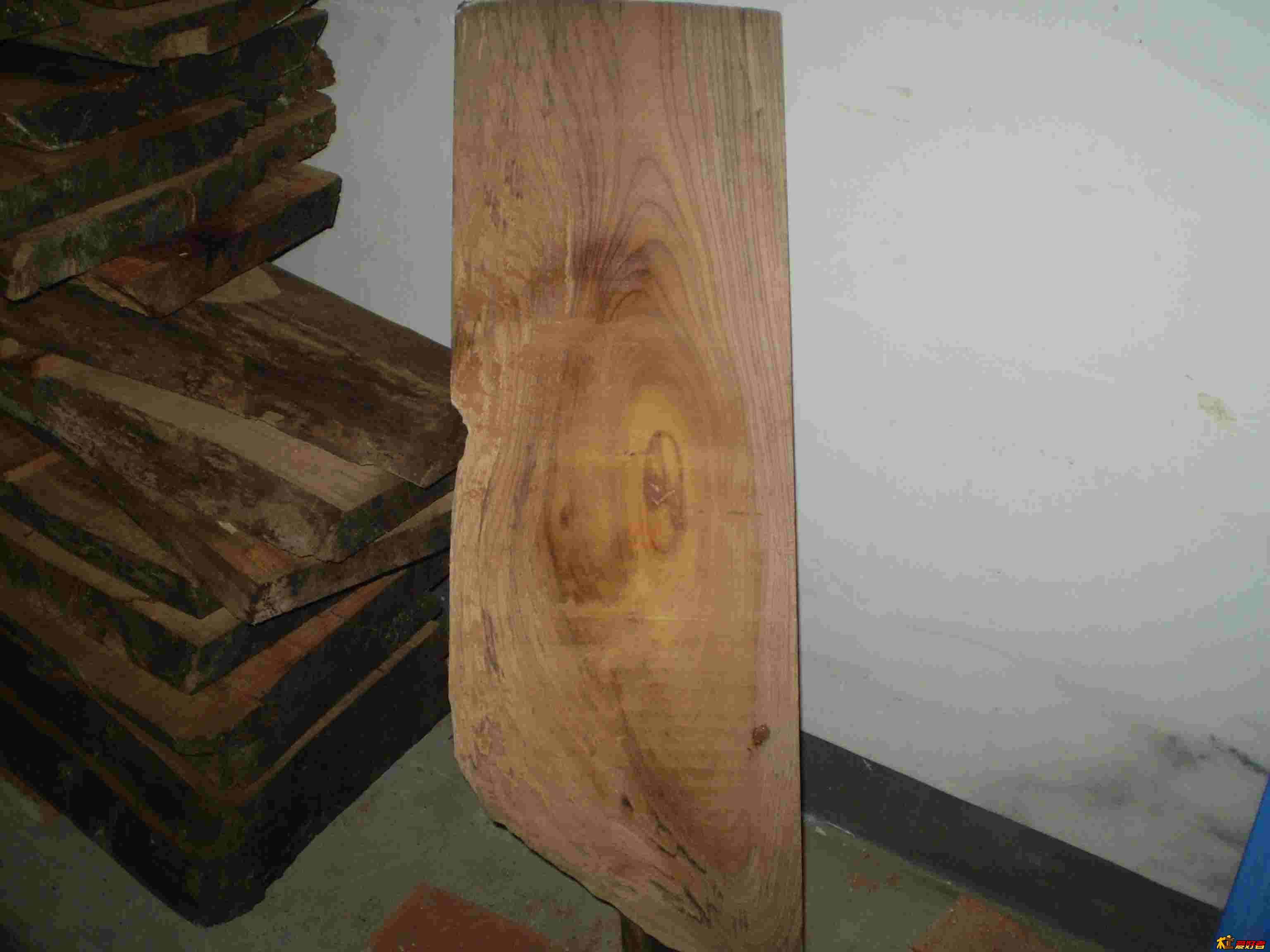 PB014422.jpg