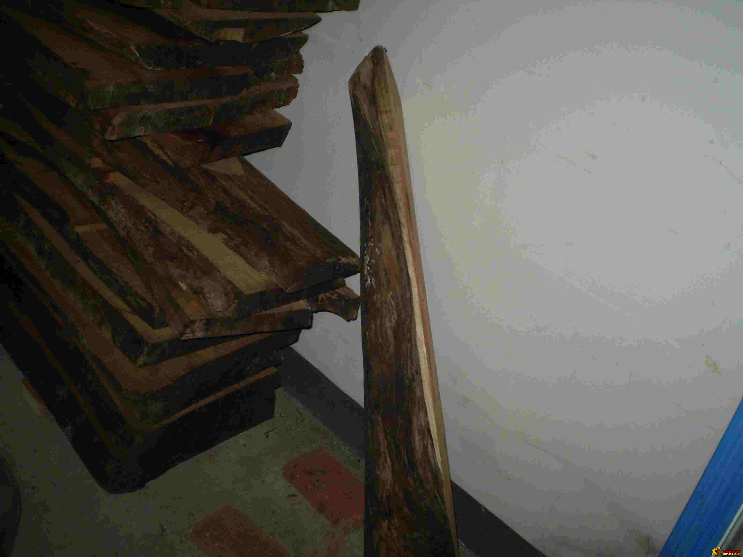 PB014423.jpg