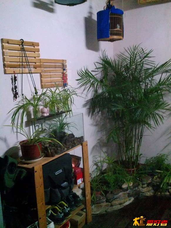 IMAG0440.jpg