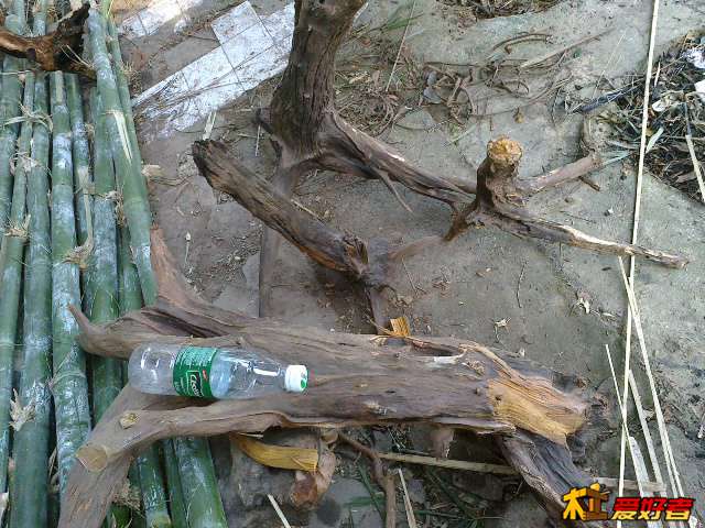 20131125484.jpg