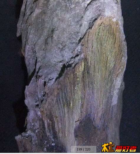 QQ图片20131126194230.jpg