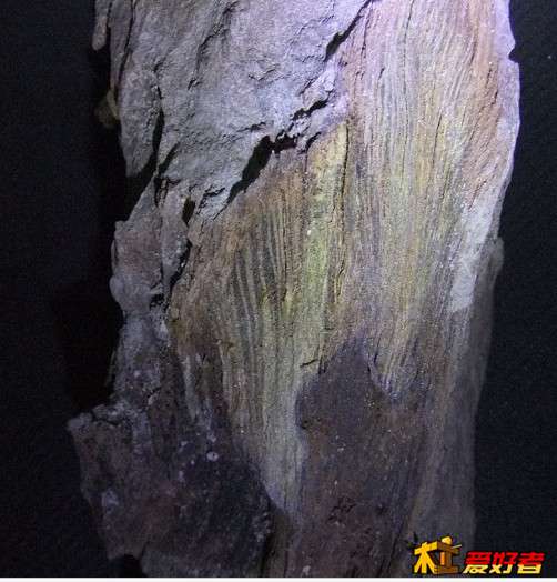 QQ图片20131126194324.jpg