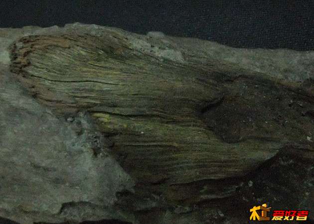 QQ图片20131126194348.jpg