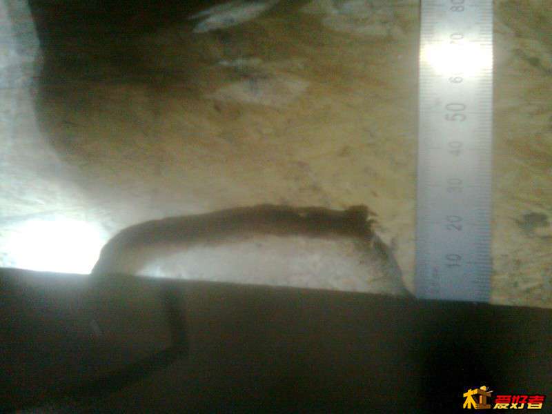 225500izs1vcst4cchctj4.jpg
