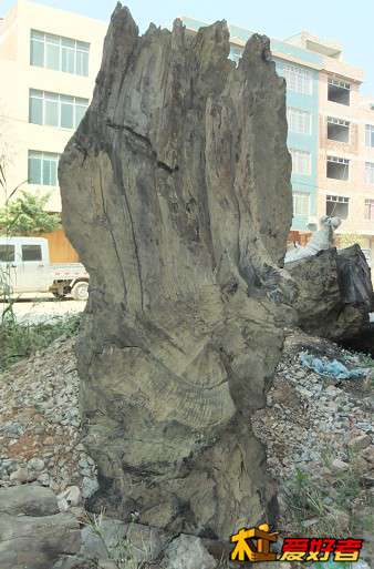 QQ图片20131204223702.jpg