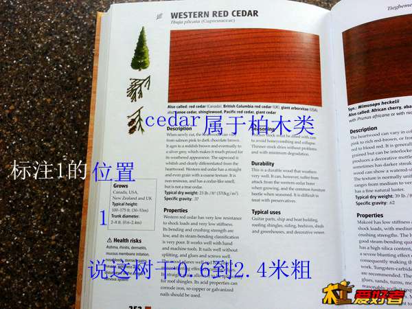 20131217_130245.jpg